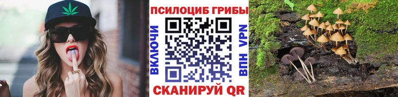 Галлюциногенные грибы Cubensis  Благовещенск 