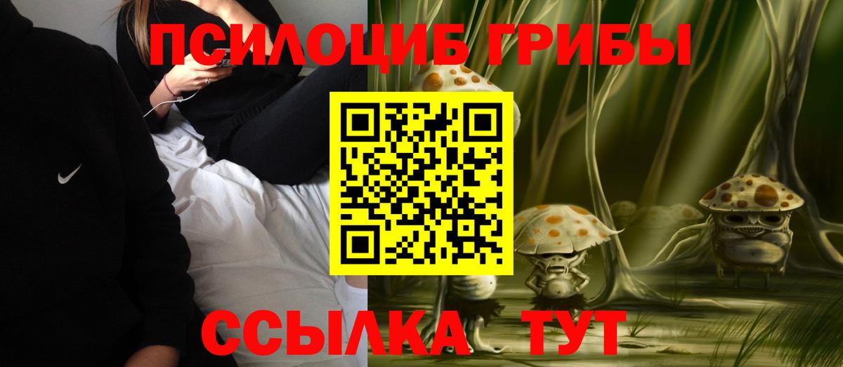 Псилоцибиновые грибы Psilocybe  Галлюциногенные грибы GOLDEN TEACHER  Благовещенск 