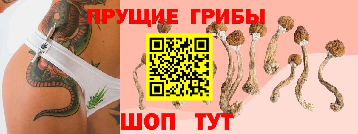 Галлюциногенные грибы Psilocybe  Галлюциногенные грибы мицелий  Благовещенск  Вход с VPN 